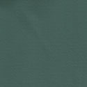 Green Vinyl