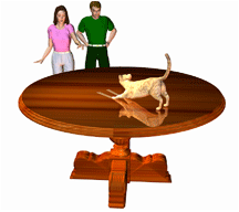 Table Pad Protector